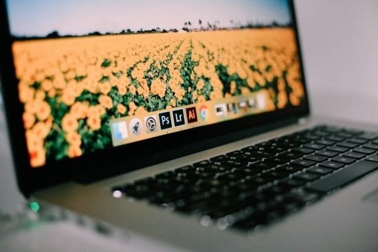 Apple Macbook With Dock Icons Showing With A Desktop Background Of A Field Full Of Yellow Flowers